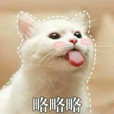 搞笑微信表情包猫咪搞笑