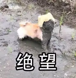 来追我啊表情包搞笑版一