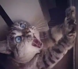 贵溪一健身馆老板跑路400余会员被骗数十万