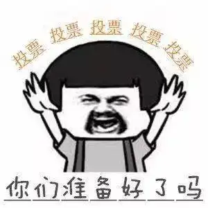 送礼包圣骑vs魔导,c位出道求pick