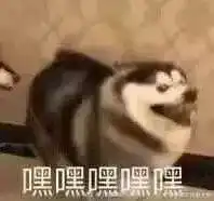 双十一购物车大曝光各类达人的购物车里有什么内含神秘抽奖