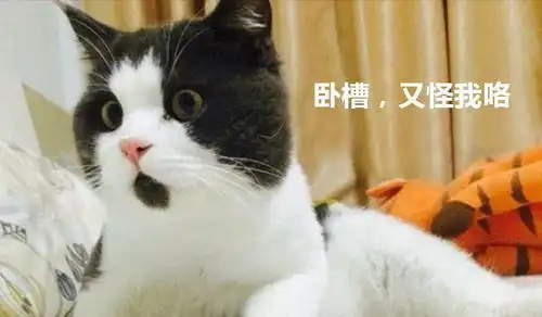 宝骏530上市7.58万起售,法拉利竟然不是跑车