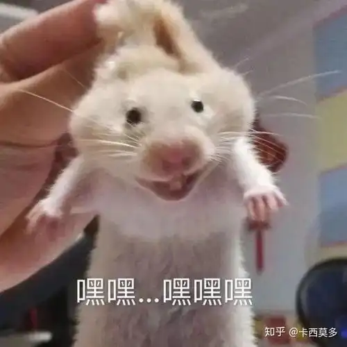 此题第二问可否齐次化联立解