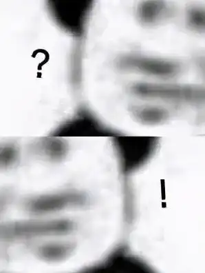 表情包有什么事到我被窝来说