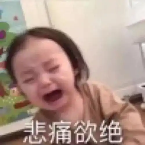 我他妈心态崩了呀表情包