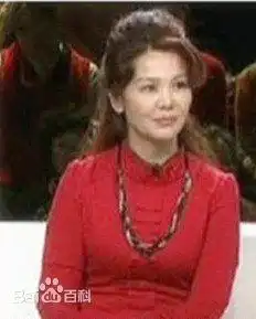 冯巩的妻子艾慧的相片