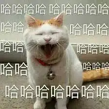 表情包多的同学,人缘总不会太差太准了