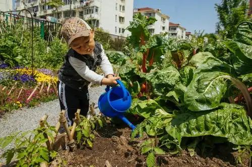 种菜的快乐上海有这样一处社区花园