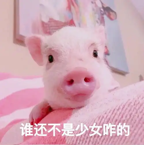 6.10关于公考家居和夏日穿搭