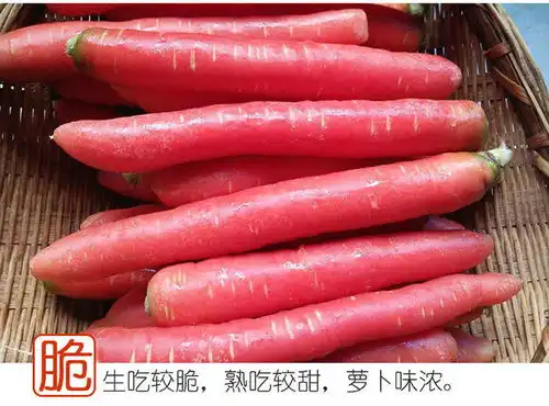 陕西沙土地农家红萝卜水果新鲜蔬菜宝宝辅食胡萝卜3510斤包邮
