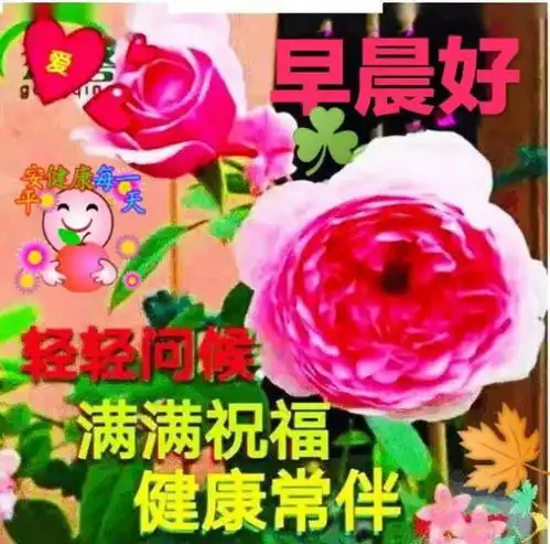 60余个精美早上好表情包