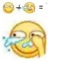 当表情和表情组合的时候,哈哈哈太搞笑了