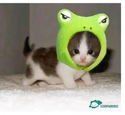 青蛙头套挖鼻孔头像