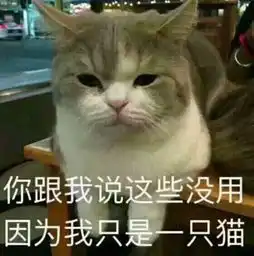 搞笑微信表情包猫咪被子