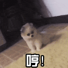 国庆一家出游没带狗狗,回家后主人遭报复