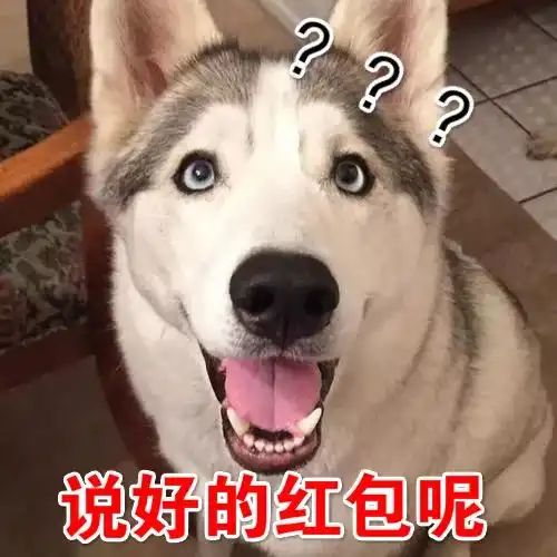 汪表情第25期春节抢红包必备,拿去不谢