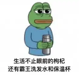 仪式感表情包表情