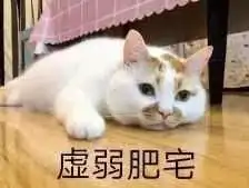 烟大医疗中心,为你的小确丧开方子