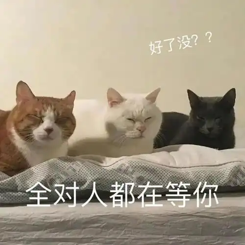 表情包哟来了,进来取一张呗