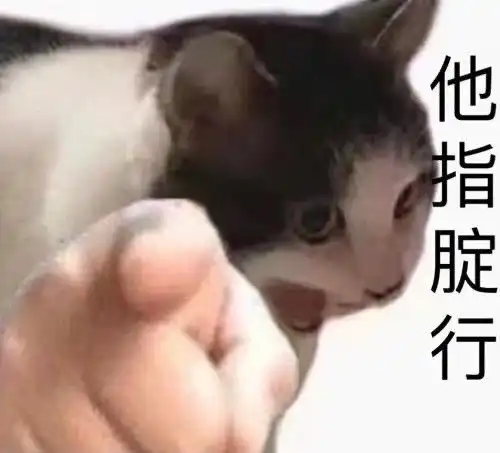 斗图不会输的表情包454期