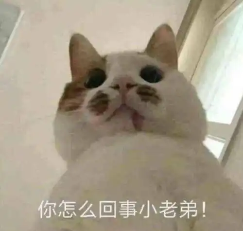 不好意思的表情包图片