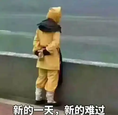 本周演出江辰走的第四天,想他