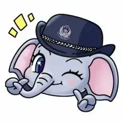 萌力爆棚云南国安卡通ip形象象强强象安安上线啦