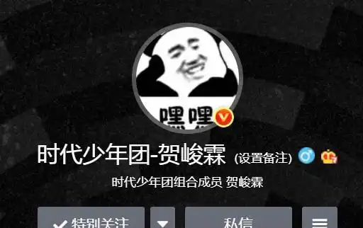 贺峻霖用严浩翔照片当头像,原图调整亮度就能看出,翔霖cp真勇