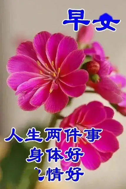 早上好表情包,每天的问候是情谊,是关心和惦记