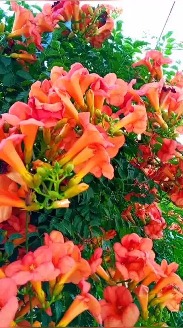 爸妈的头像生产地,表情包发源地