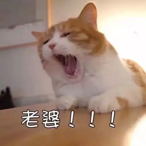 一大波甜甜甜的情侣头像,网恋吗