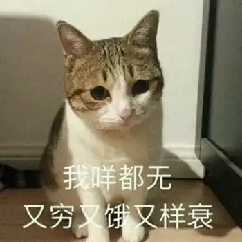 表情饿了吗在线卖美食