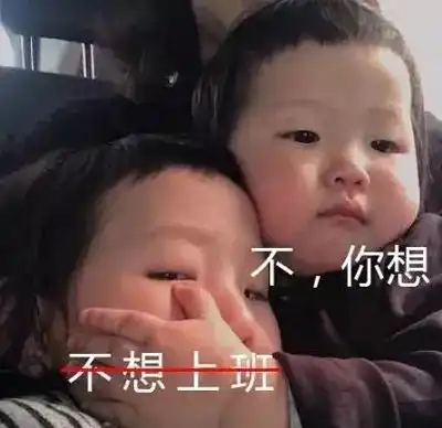 0103热门表情包爱不爱我你自己说