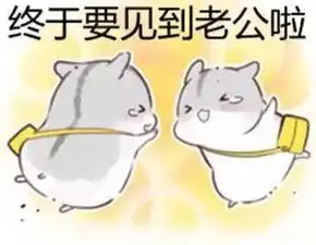 给老公请安表情包