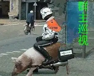 群主驾到群主终于出来群主巡视