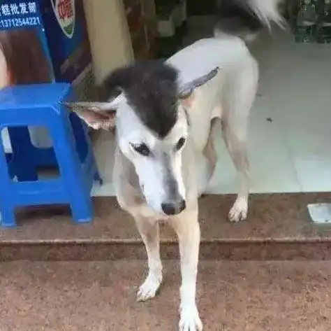 前些天发生了点悲剧的事,心情一直不好,情绪低落就刚刚都有