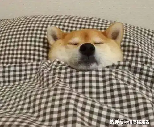 睡觉时,为你做过这4件事的男人,一定是爱你入骨了