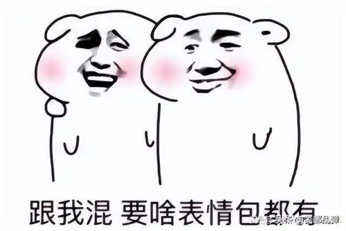 网络表情包用语侮辱性