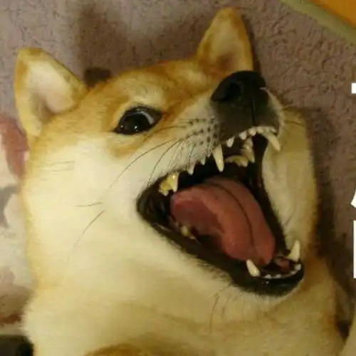 女神表姐相亲,结果亲中的居然是我