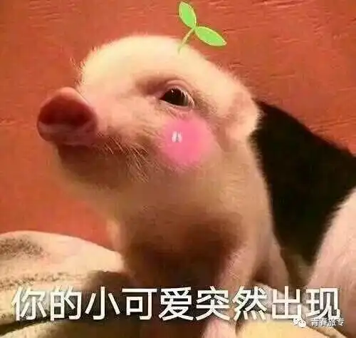 你,给你专属的中秋节礼物