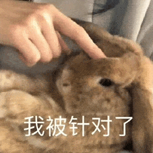 热门表情包今晚...安排一下吗