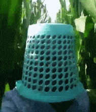 爆笑gif趣图鲜花配美女,真是太美了