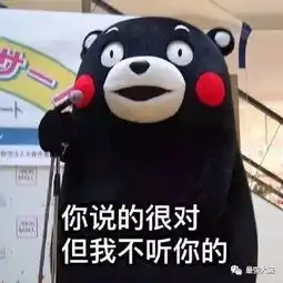 人眼雷达超级找茬王郑才千和超眼少年黄政谁能傲视全场