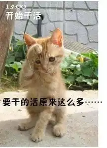 搞笑微信表情包猫咪演绎