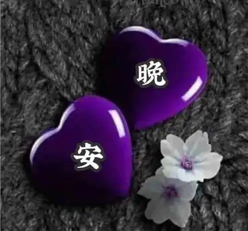 晚上好问候动画表情包,睡前群发晚安问候语图片带字