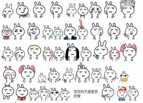 表情包是什么意思