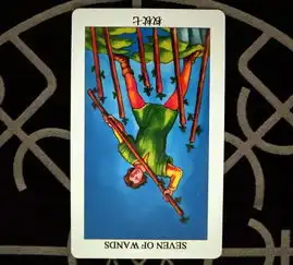 连晓明塔罗占卜你们的感情会长久嘛