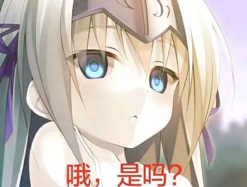 聊天百分百常用二次元表情包a