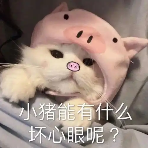 沙雕表情减肥的你