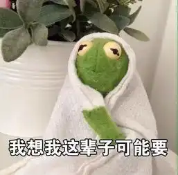 我想我这辈子可能要一个人孤独终老了